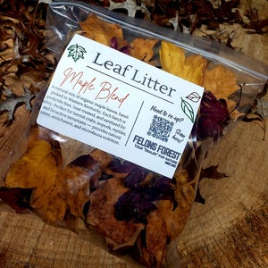 May include: A clear plastic bag filled with dried maple leaves, labeled "Leaf Litter Maple Blend." The leaves are various shades of brown, yellow, and burgundy. The bag includes a QR code and the text "FELONS FOREST YOUR 'DEALER' FOR NATURE SINCE 2021."