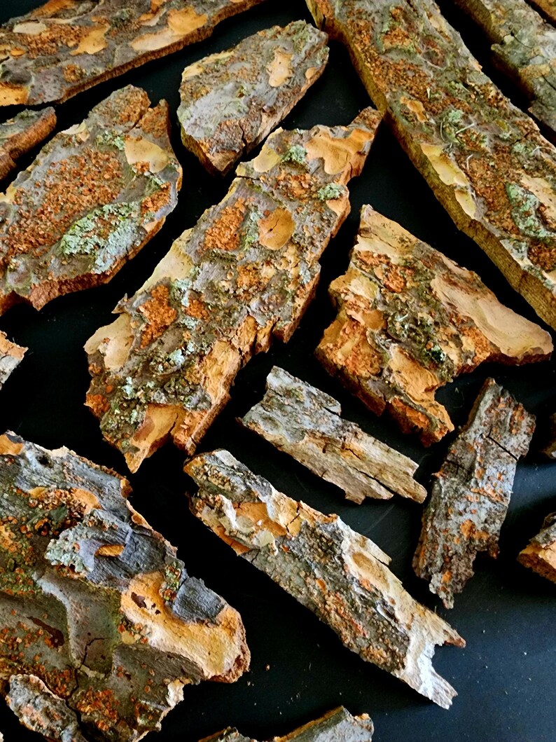 May include: Close-up of several pieces of tree bark. The bark pieces vary in size and shape, with a mix of brown, gray, and orange hues. Some pieces have green and white patches, adding to the natural texture.