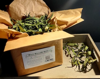 Natural Air-Dried Willow Browse | Bulk Box |Heat Sanitization Available | Safe Forage Treat