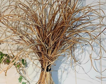 Dried Ornamental Grass Bundle