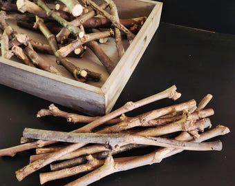 Sycamore Woodland Stick Packs | Variety of Packs Available | Multiple Sizes and Shapes