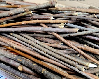 Dried Willow Craft Sticks | 1/2lb. Box | Assorted 4-9" Willow Sticks