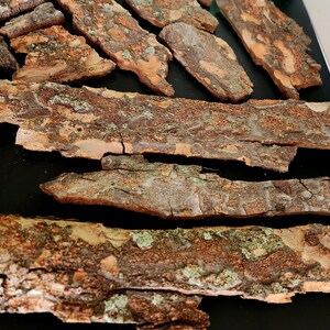 May include: Close-up of several pieces of tree bark. The bark is a mix of brown, tan, and green, with a rough, textured surface. The pieces vary in size and shape, and are arranged on a dark surface.