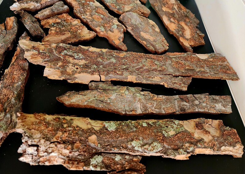 May include: Close-up of several pieces of tree bark. The bark is a mix of brown, tan, and green, with a rough, textured surface. The pieces vary in size and shape, and are arranged on a dark surface.