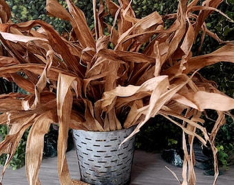 Dried Corn Husk Bundles | 24 Natural Field Husks | Rustic Farmhouse Decor