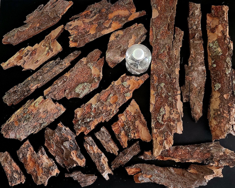May include: An assortment of natural tree bark pieces in varying shapes and sizes, with a clear water bottle. The bark displays a mix of brown, orange, and tan hues, with some pieces showing hints of green. The bark pieces are arranged on a black surface.