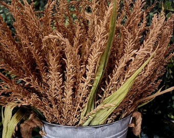Dried Corn Tassel Bundles | Natural Corn Tassels with Husks