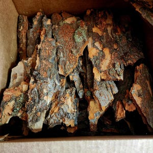 May include: A cardboard box filled with pieces of tree bark. The bark is a mix of brown, gray, and orange hues, with some areas showing hints of green. The pieces vary in size and shape, creating a textured appearance.