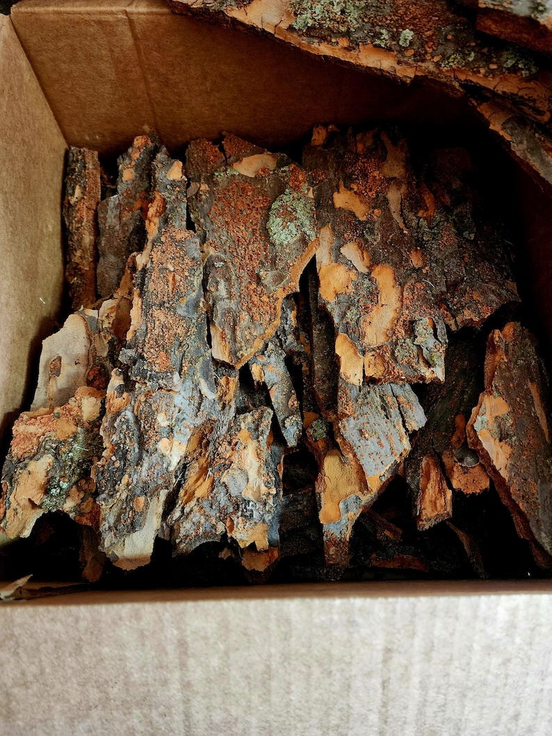 May include: A cardboard box filled with pieces of tree bark. The bark is a mix of brown, gray, and orange hues, with some areas showing hints of green. The pieces vary in size and shape, creating a textured appearance.