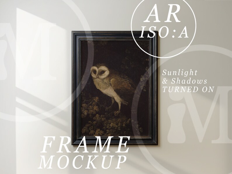 May include: A black framed picture of an owl with a brown and white patterned design. The picture is hanging on a white wall with the text "FRAME MOCKUP" below it.