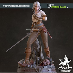 Witch Killer V3 | Maximum Detailed 3d 12k Resin Printed Figure