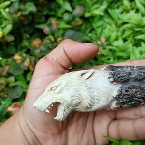 Könnte beinhalten: Eine Hand hält einen geschnitzten Wolfskopf aus Holz mit einem detaillierten, knurrenden Ausdruck. Das Fell des Wolfes ist realistisch geschnitzt, und das Holz ist hellbraun.