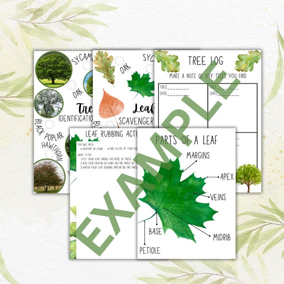 Tree and Leaf Journal Sheets Downloadable