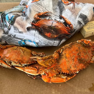 Chesapeake Bay Inspired Crab Napkin Set