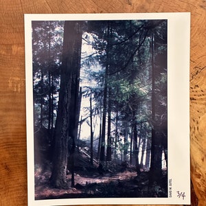 Misty Yosemite Video Floppy Original