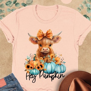 May include: A pink t-shirt with a brown and white highland cow wearing a polka dot bow. The cow is surrounded by fall-colored flowers and pumpkins. The text "Hey Pumpkin" is printed below the cow.