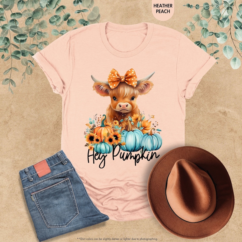 May include: A pink t-shirt with a brown and white highland cow wearing a polka dot bow. The cow is surrounded by fall-colored flowers and pumpkins. The text "Hey Pumpkin" is printed below the cow.