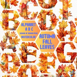 Imágenes prediseñadas de acuarela del alfabeto de otoño, ilustraciones de letras florales de otoño Clip art, alfabeto de calabaza de otoño png, tipografía de hojas de otoño