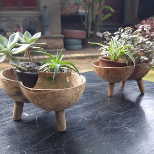 Handgefertigte Kokosnussschale / Pflanzgefäß 2er-Set (4,5 "x 6" x 3,5" Höhe)