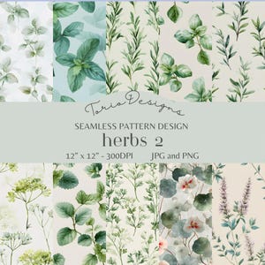 Herbs 2  : 10 Seamless pattern, digital paper, herb, plant, rosemary, leaf, spice, thyme, basil, herbal, nature, sage, oregano, organic