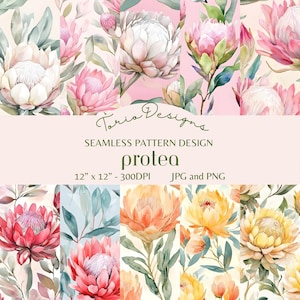 Puede incluir: Una colección de diseños de patrones sin costuras con flores de protea en varios colores, incluyendo rosa, blanco y naranja. Los diseños miden 30,48 cm x 30,48 cm y están disponibles en formatos JPG y PNG. El texto "Toria Designs" y "protea" también es visible.