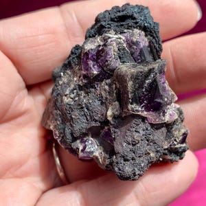 May include: A cluster of purple fluorite crystals embedded in a dark gray matrix. The crystals are sharp and well-defined, with a glassy luster. The matrix is rough and textured.