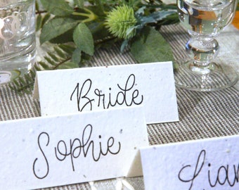 Plantable Seeded Wedding Name Cards / Flower Wedding Name Cards / Eco-friendly Wedding Place Cards