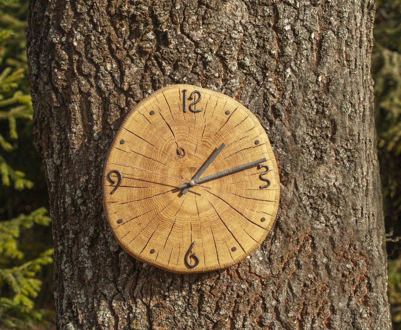 Natural Oak Wall Clock, Live Edge Clock, Very Cool Clocks,clock Face ...
