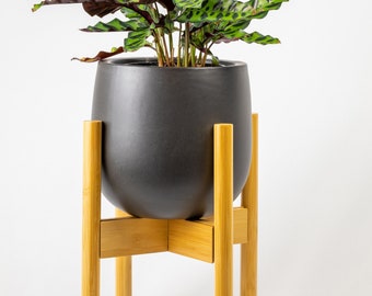 Mid-Century Adjustable Plant Stand