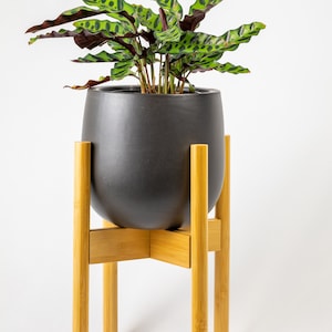 May include: A black ceramic planter with a green and brown patterned plant sits on a natural wood plant stand.