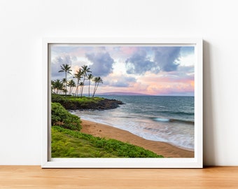 May include: A scenic photograph of a beach with palm trees and a cloudy sky. The beach is sandy with blue water and waves. The sky is a mix of pink, purple, and gray clouds.
