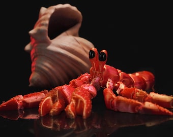 Articulated Hermes, the Hermit Crab