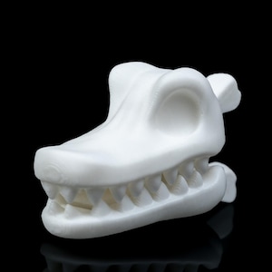 May include: White plastic model of a dinosaur skull with teeth.