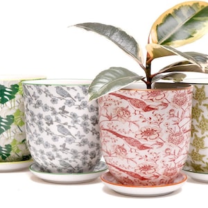 May include: Four ceramic plant pots with different patterns. The pots are white with green, gray, red, and green patterns. The pots have a saucer underneath. A plant with green and yellow leaves is in the red pot.
