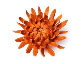 Ceramic Flower Wall Art Mum Orange 11