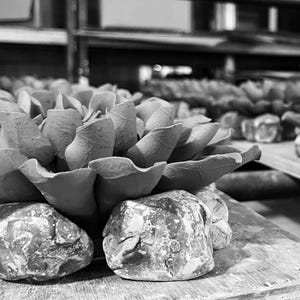 Ivory Chrysanthemum Ceramic Wall Decor: Modern Botanical Art