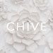 Chive Inc