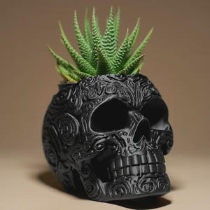 Peut inclure: Un pot de plante noir en forme de crâne avec des motifs en relief complexes, contenant une plante succulente verte. Le pot a une surface texturée et est un objet décoratif pour la décoration intérieure.