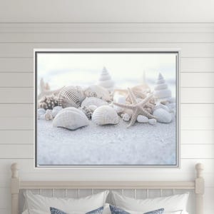 Seashell Canvas Print: Coastal Beach House Decor