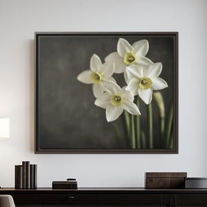 Daffodil Canvas Print: Botanical Spring Flower Wall Art