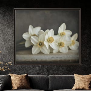 Daffodil Canvas Print: Botanical Floral Wall Art, Spring Home Decor
