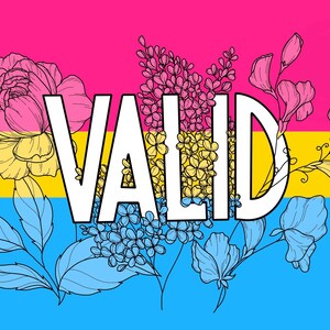 May include: A graphic design featuring the word "VALID" in white lettering against a backdrop of the pansexual pride flag. The flag is pink, yellow, and blue with black outlines of flowers and leaves.