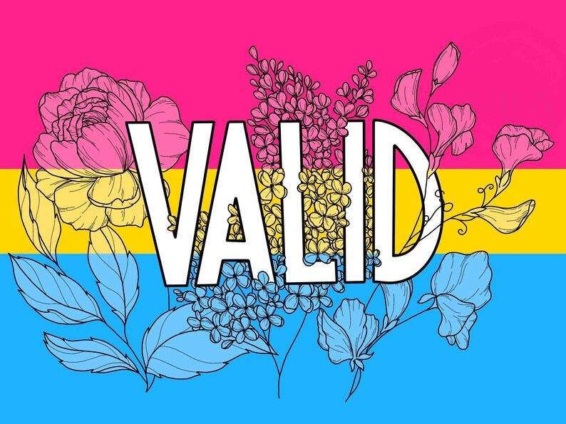 May include: A graphic design featuring the word "VALID" in white lettering against a backdrop of the pansexual pride flag. The flag is pink, yellow, and blue with black outlines of flowers and leaves.