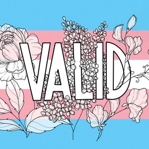 May include: A white graphic with the word "VALID" in bold, white letters surrounded by black outlines. The graphic is set against a background of the transgender pride flag, with pink, blue, and white stripes. The word "VALID" is surrounded by stylized flowers in black outlines.