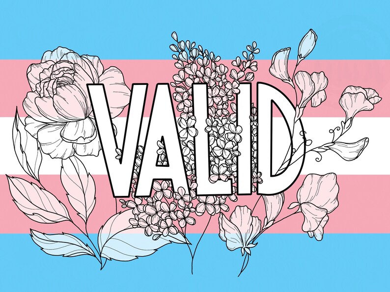 May include: A white graphic with the word "VALID" in bold, white letters surrounded by black outlines. The graphic is set against a background of the transgender pride flag, with pink, blue, and white stripes. The word "VALID" is surrounded by stylized flowers in black outlines.