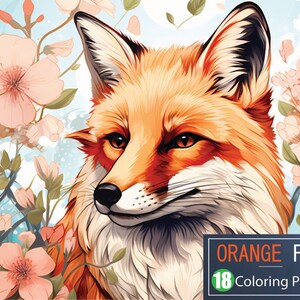 Orange fox coloring book, 18 Premium adorable orange fox themed pages, A4 size sheets instant PDF download, ready to color, fox, wild animal