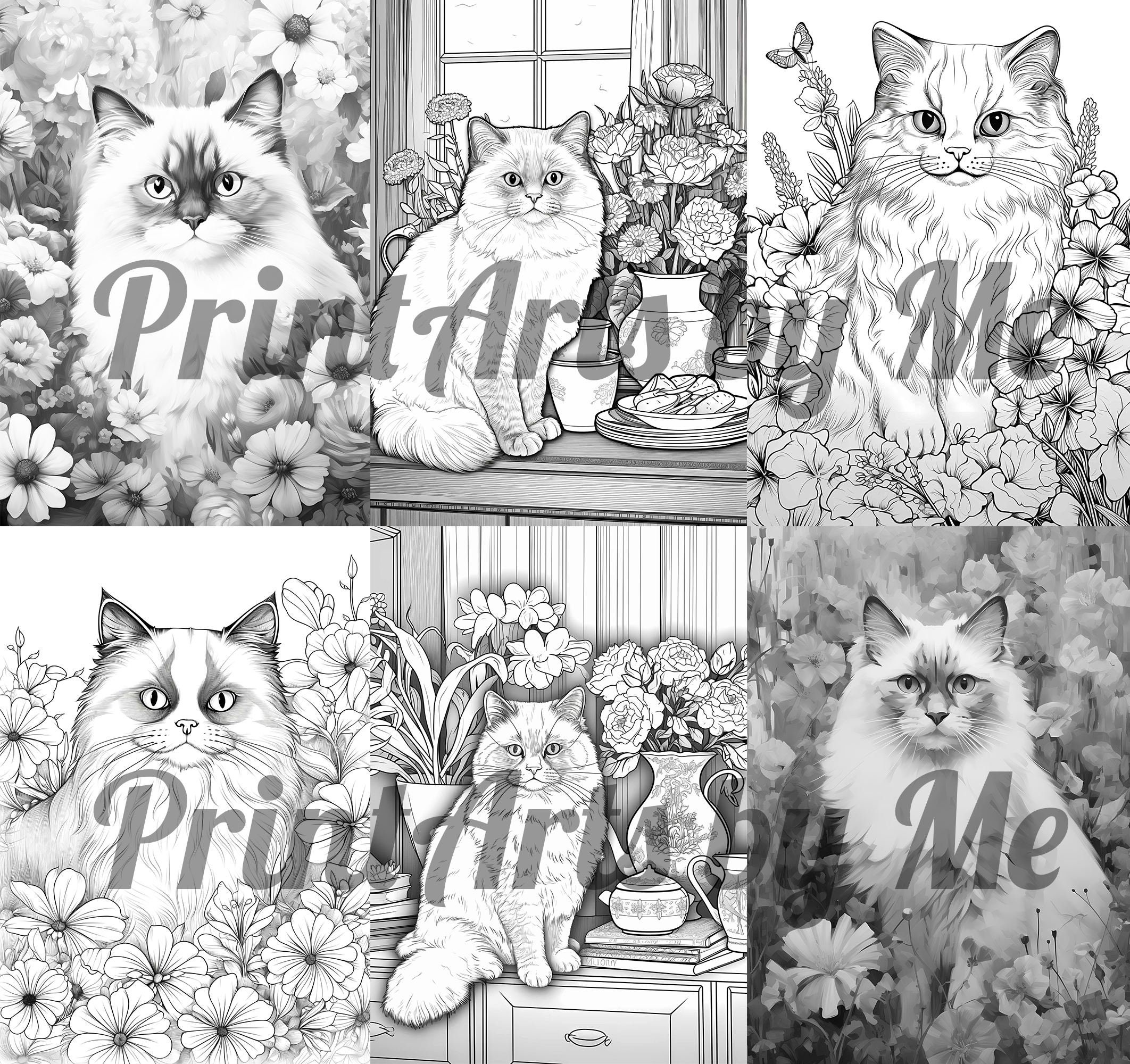 Ragdoll Cat Coloring Book, 12 Premium Ragdoll Cat Cute Themed Pages, A4 ...