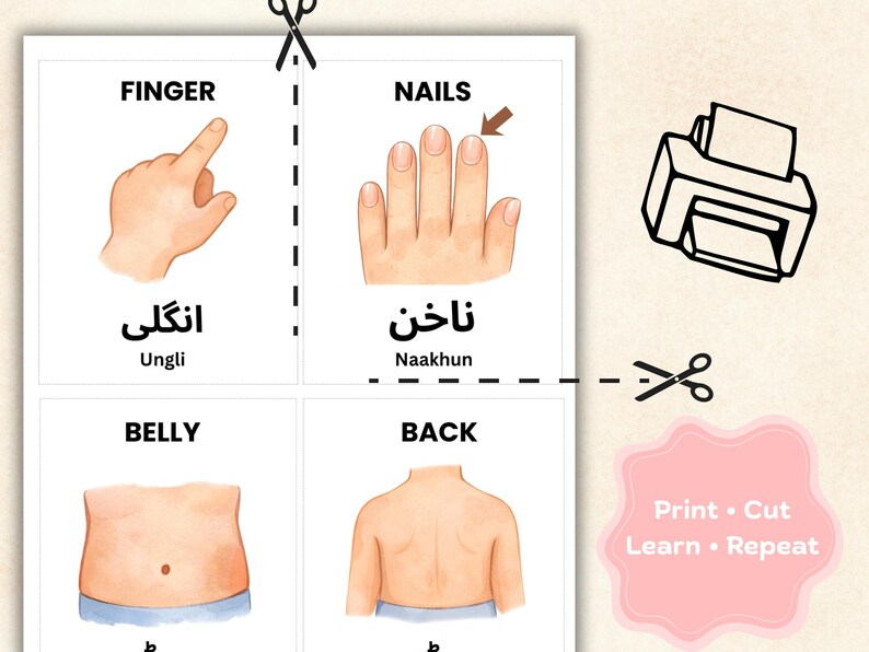 English Urdu Body Parts Flashcards for Kids | Bilingual Learning ...