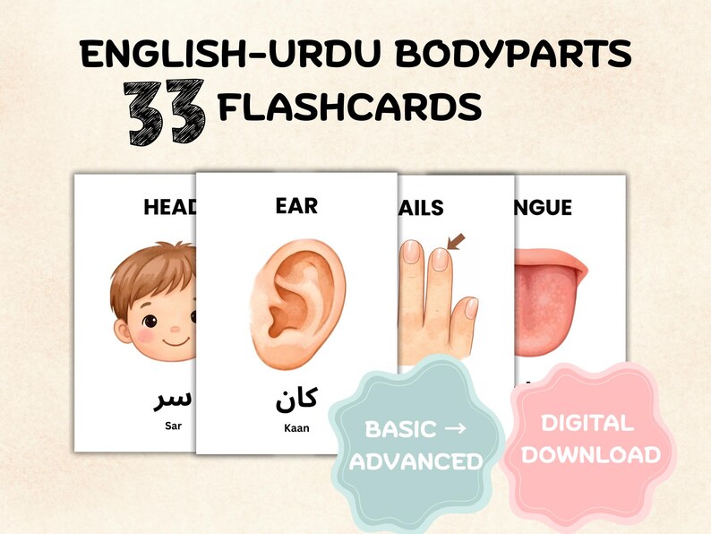 English Urdu Body Parts Flashcards for Kids | Bilingual Learning ...
