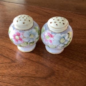 Morimura Nippon Hand Painted flower salt and pepper shaker